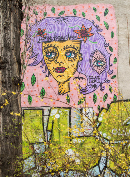 Urban Art Tour by Calle Libre