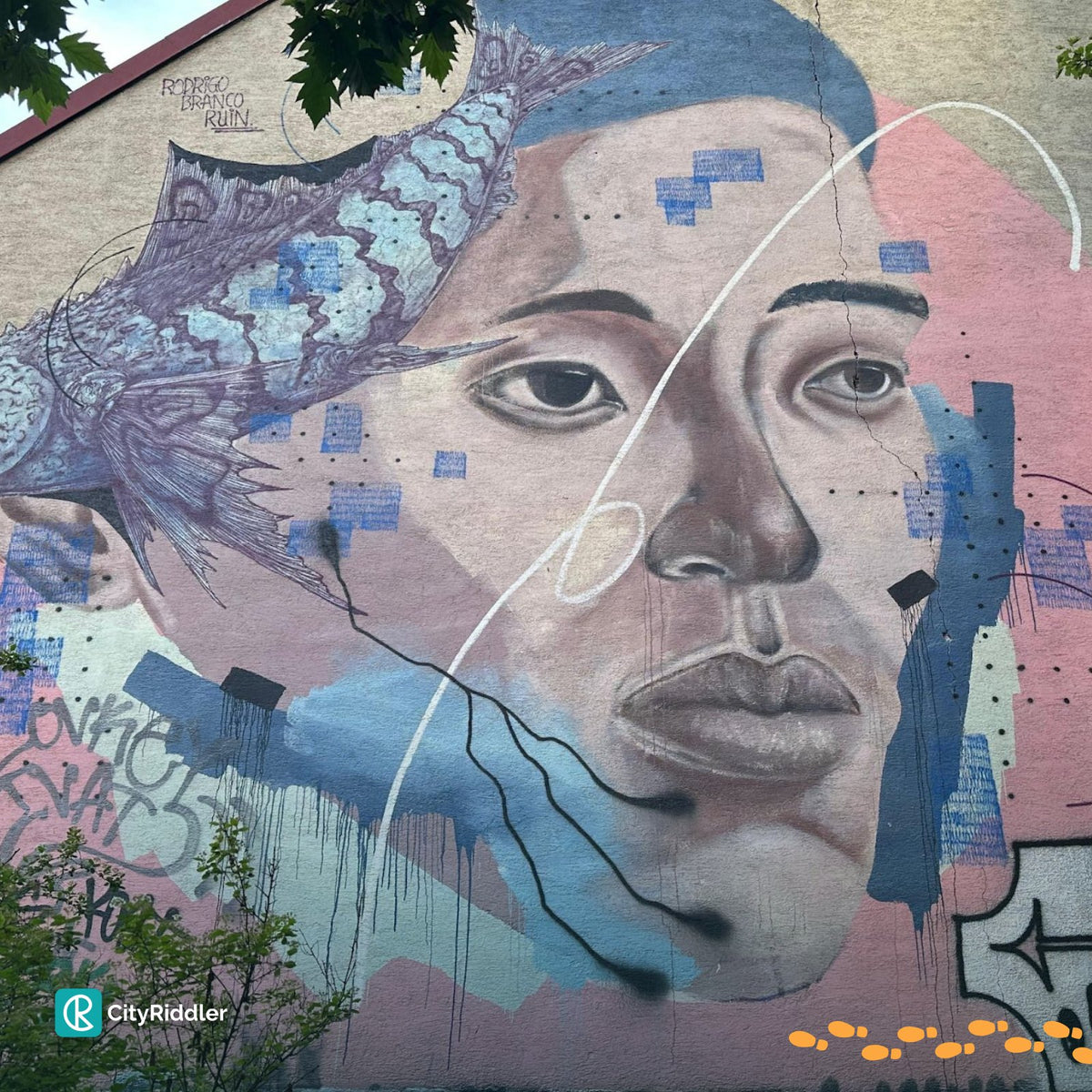 Vienna: Urban Art Tour by Calle Libre
